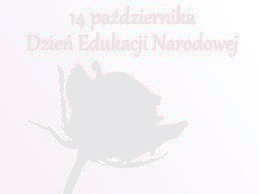 Samotna róża dzień Edukacji Narodowej